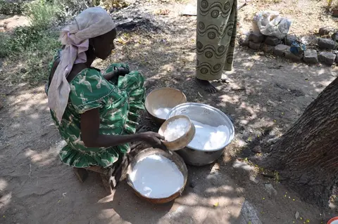 ɗwara gɨ haye (préparation de la boule)