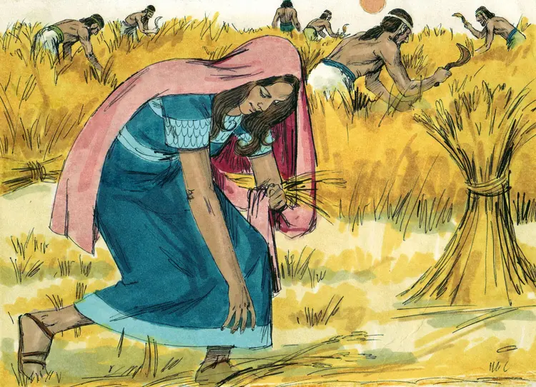 Ruth en train de glaner