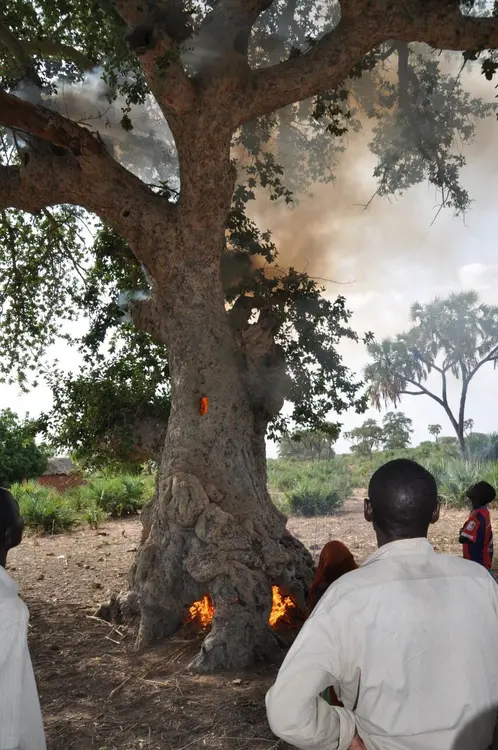 Koblague, préparation pour l’extension de la piste d’atterrissage (avril 2016)