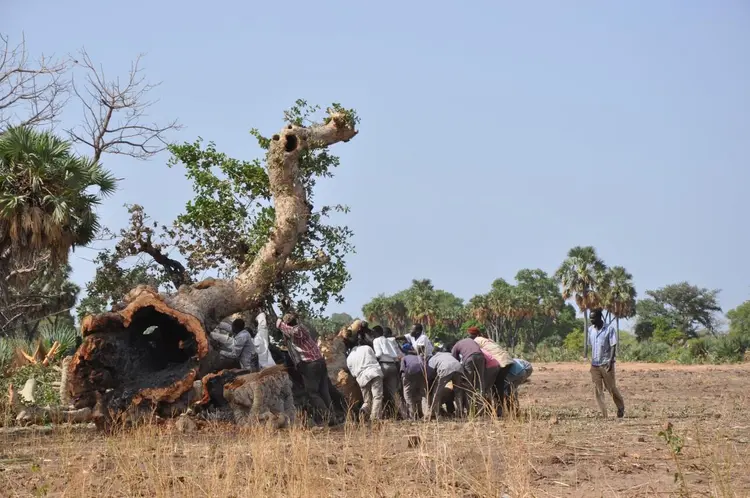 Koblague, travaux pour l’extension de la piste d’atterrissage (avril 2016)