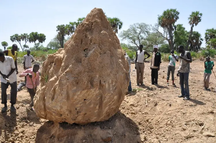 Koblague, travaux pour l’extension de la piste d’atterrissage (avril 2016)