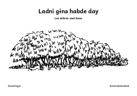 Les arbres sont bons